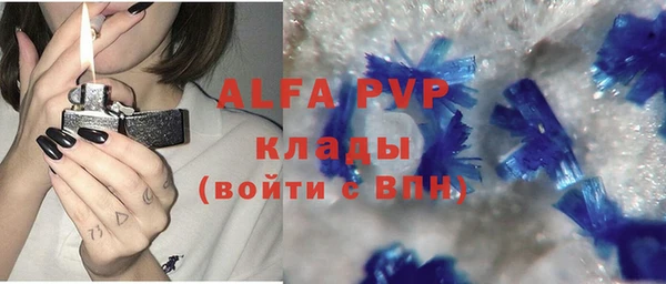 стаф Майский
