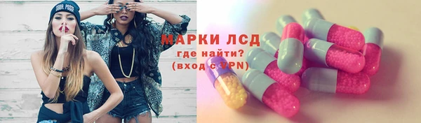 apvp Магас