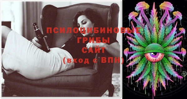 стаф Майский