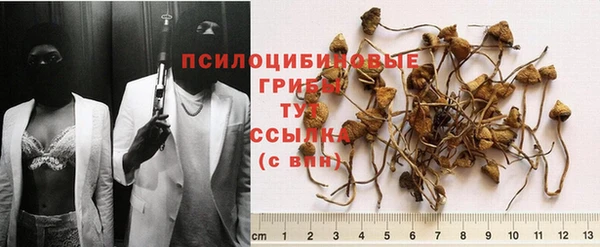 apvp Магас