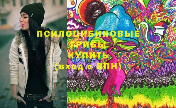 apvp Магас