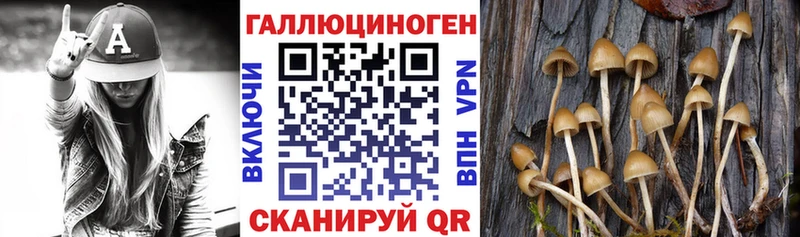 блэк спрут маркетплейс  Елизаветинская  Галлюциногенные грибы Magic Shrooms 